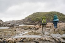 Young couple trekking over tide pools, rear view, Constant Bay, Charleston, South Island, New Zealand — Stock Photo