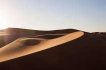 Песчаные дюны пустыни под голубым небом — стоковое фото