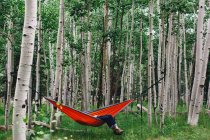 Чоловічий турист відпочиває в гамаку в лісі, Локетт Медоу, Аризона, Уса. — стокове фото