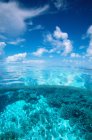 Vista della barriera corallina, stati federati della micronesia — Foto stock