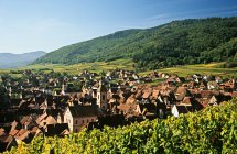 Vue idyllique sur maisons et montagnes verdoyantes à Riquewihr alsace, france, europe — Photo de stock