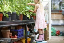 Girl standing on stool to water the plants in greenhouse — Stock Photo