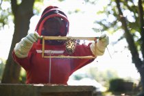 Female beekeeper holding hive frame — Stock Photo