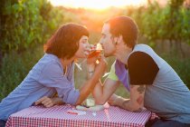 Пара п'є вино в полі — стокове фото