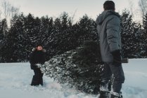 Padre e hija consiguiendo su propio árbol de Navidad - foto de stock