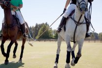Two adult men playing polo — Stock Photo
