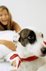 Dog with smiling woman — Stock Photo