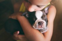 Girl hugging Boston Terrier puppy — Stock Photo