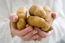 Close up of Person holding fingerling potatoes — Stock Photo