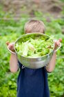 Boy with bowl of lettuce from garden — Stock Photo