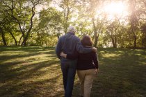 Blick von hinten auf romantisches Seniorenpaar beim Spaziergang im sonnendurchfluteten Park — Stockfoto