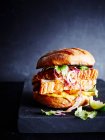 Peruvian Burger, primo piano — Foto stock