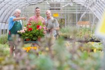 Senior gardener serving mature man and mid adult woman in garden centre — Stock Photo