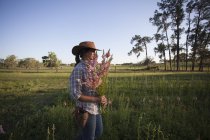 Mujer joven que lleva racimo de snapdragons (antirrrinum) del campo de la granja de flores - foto de stock