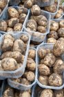 Nouvelles pommes de terre sales — Photo de stock