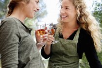 Две женщины пьют за бокалы для вина — стоковое фото