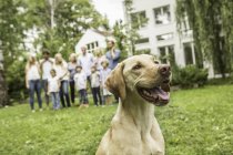Dog with big family of men, women and children in background — Stock Photo