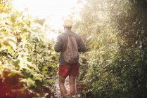 Visão traseira de um jovem caminhando na floresta tropical no Lago Atitlan, Guatemala — Fotografia de Stock