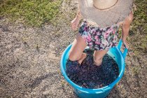 Жінка топати винограду в відро, Quartucciu, Сардинія, Італія — стокове фото
