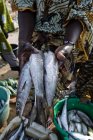 Человек держит рыбу, Tanji Fishing Village, Гамбия — стоковое фото