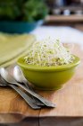 Alfalfa sprouts in bowl with spoons on table — Stock Photo