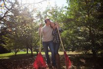 Affectionate couple with leaf rakes — Stock Photo