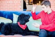 Teenager spielt mit Hund auf Sofa — Stockfoto