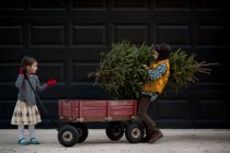 Girl and boy loading cart with christmas tree — Stock Photo