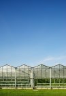 Row of greenhouses and blue sky on background — Stock Photo