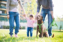 Mid adult couple holding hands with toddler daughter in park — Stock Photo