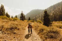 Woman taking break on hiking trail, Mineral King, Sequoia National Park, Califórnia, EUA — Fotografia de Stock