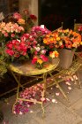 Rosas sobre mesa y silla en floristería - foto de stock