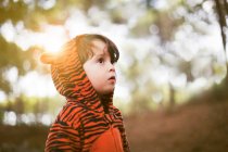 Portrait of male toddler in tiger suit alone in woods — Stock Photo