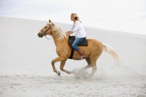Ragazza a cavallo sulla spiaggia — Foto stock
