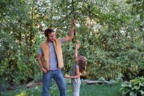 Father helping daughter reach apple on tree — Stock Photo