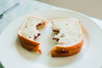 Два з'їдені бутерброди на тарілці — стокове фото