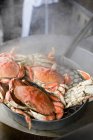 View of lots crabs cooking in metal colander — Stock Photo