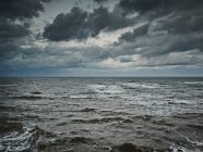 Mantello marino grigio coperto — Foto stock