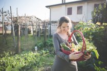 Young woman with basket of homegrown vegetables — Stock Photo