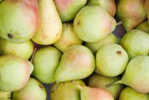 Ripe appetizing pears — Stock Photo