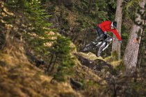 Female mountain biker riding through forest — Stock Photo