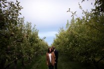 Romantic adult couple in orchard at dusk — Stock Photo