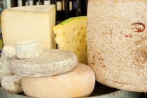 Cantal and auvergne fresh cheeses — Stock Photo