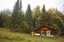 Log cabin beside green forest trees — Stock Photo
