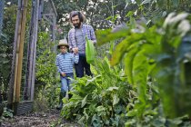 Vater und Sohn gießen Pflanzen auf Schrebergarten — Stockfoto