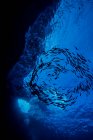 Підводний вид на красиве море — стокове фото