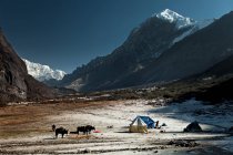 Vista a distanza di Thangsing, Himalaya Kanchenjungs Region, Sikkim, India — Foto stock