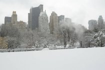 Central Park im Schnee mit Gebäuden im Hintergrund, New York, USA — Stockfoto