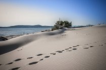 Vista de dunas de areia ao entardecer, Cagliari, Sardenha, Itália — Fotografia de Stock