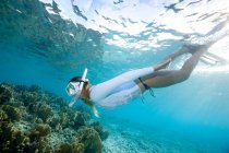 Schnorchler sieht Korallenriff — Stockfoto